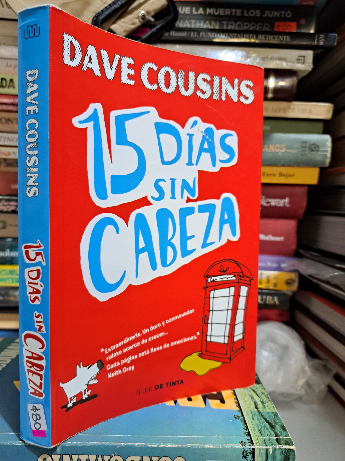 15 DÍAS SIN CABEZA DAVE COUSINS USADO NOVELA JUÁREZ