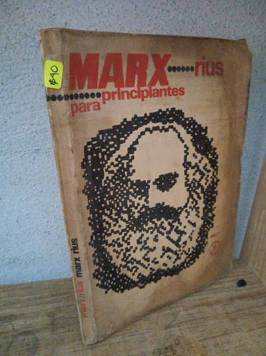 MARX PARA PRINCIPIANTES RUIS USADO NOVELA LITERARIO 305