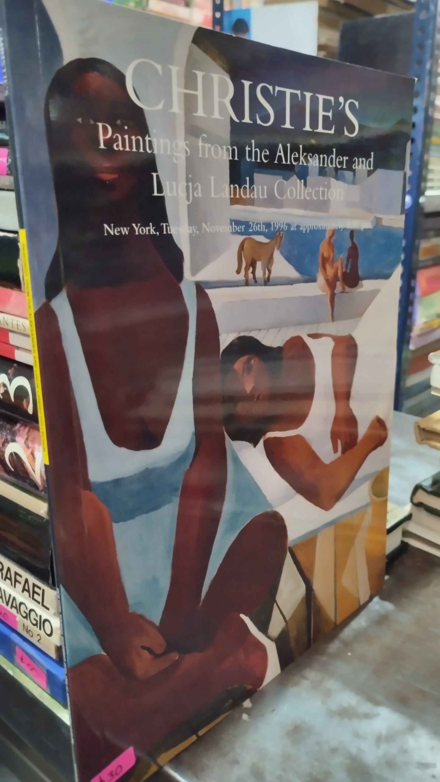 PAINTINGS FROM THE ALEKSANDER AND LUCJA LADAU COLLECTION LIBRO USADO ARTE ALDAMA