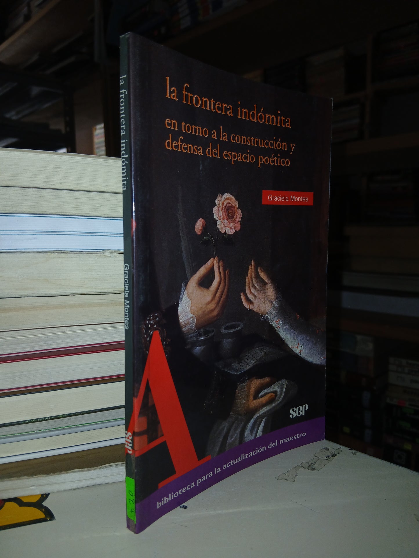 LA FRONTERA INDÓMITA EN TORNO A LA CONSTRUCCIÓN Y DEFENSA DEL ESPACIO POÉTICO POR GRACIELA MONTES USADO NOVELA LITERARIO 207