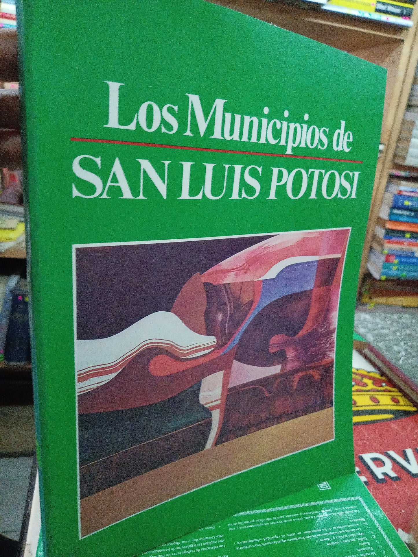 LOS MUNICIPIOS DE SAN LUIS POTOSÍ USADO TURISMO LITERARIO 207