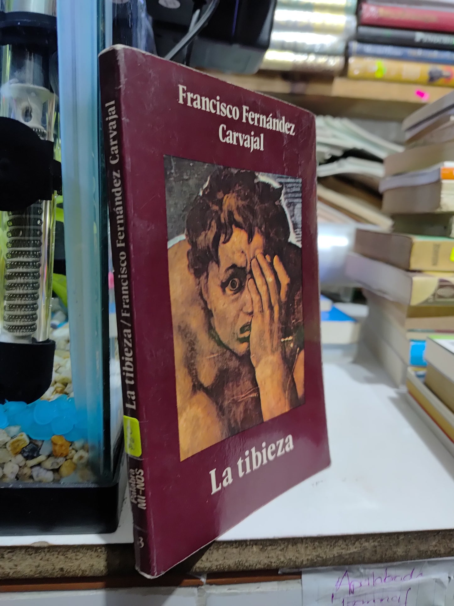 LA TIBIEZA POR FRANCISCO FERNANDEZ CARBAJAL USADO NOVELAS JUAREZ 507