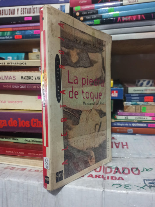 LA PIEDRA DE TOQUE POR MONTSERRAT DEL AMO USADO NOVELAS JUÁREZ