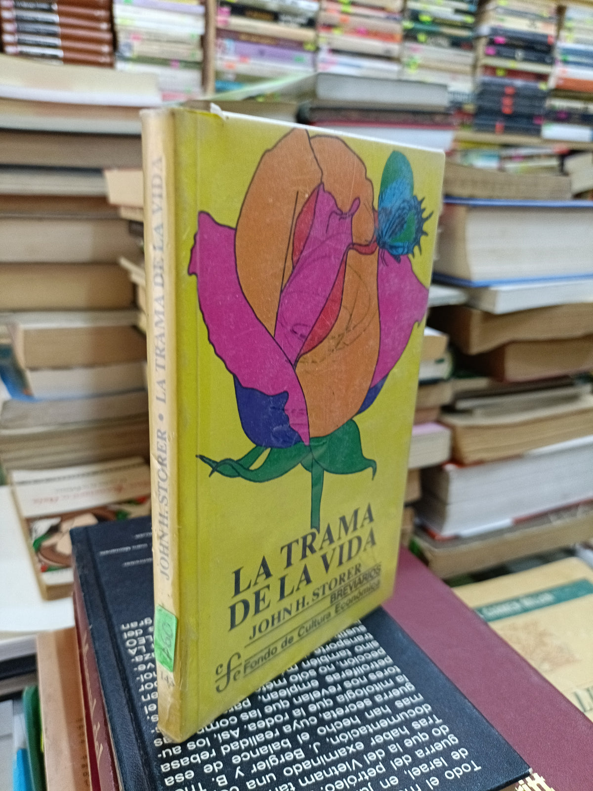 LA TRAMA DE LA VIDA POR JONH G STORER USADO SOCIOLOGIA JUAREZ 507