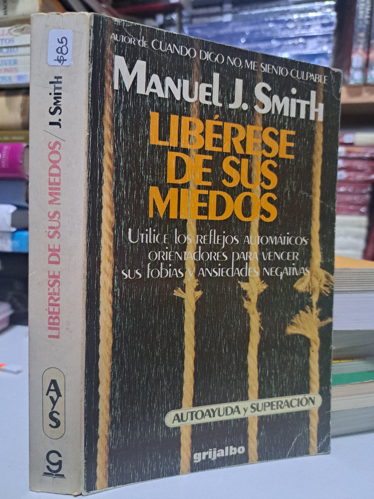 LIBERESE DE SUS MIEDOS MANUEL J. SMITH  USADO SUPERACIÓN PERSONAL JUÁREZ