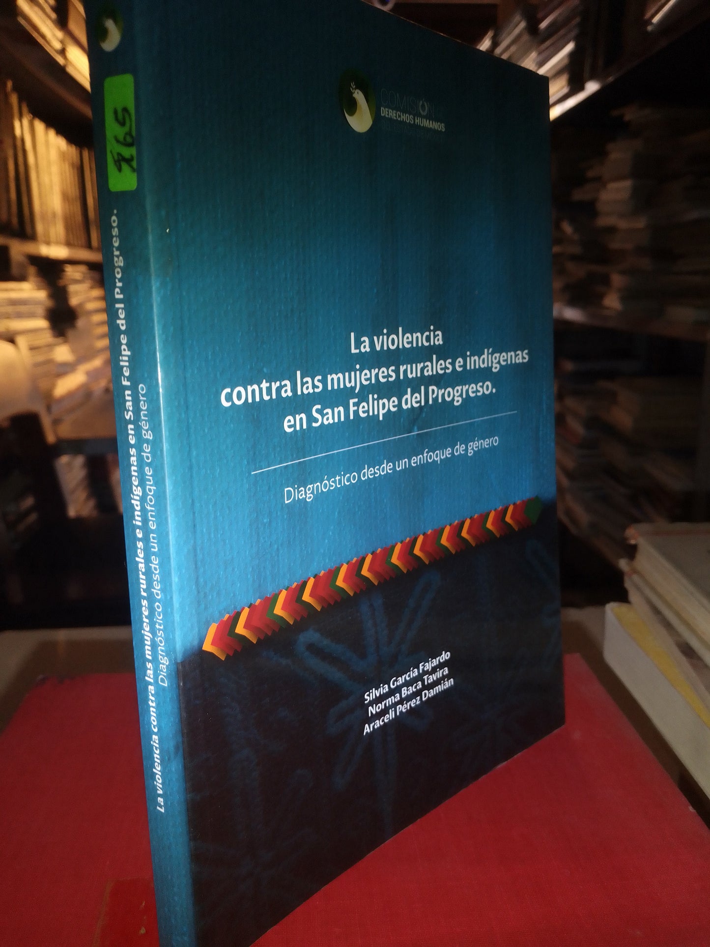 LA VIOLENCIA CONTRA LAS MUJERES RURALES E INDIGENAS EN SAN FELIPE DEL PROGRESO POR SILVIA GARCIA FAJARDO USADO SOCIOLOGÍA LITERARIO 207