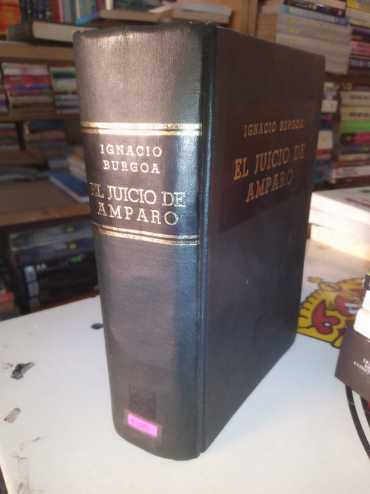 EL JUICIO DE AMPARO POR IGNACIO BURGOA USADO DERECHO LITERARIO 207