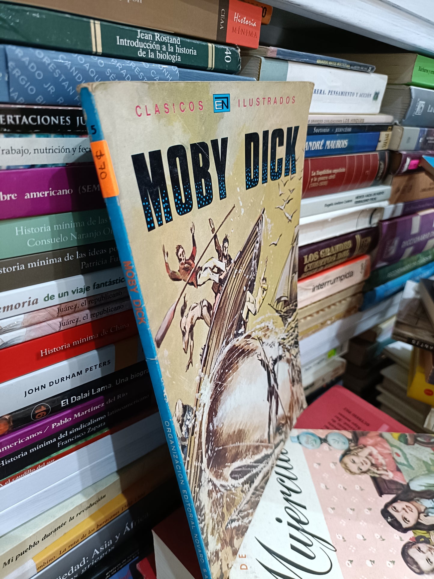 MOBY DICK ILUSTRADO USADO NOVELA JUAREZ 515