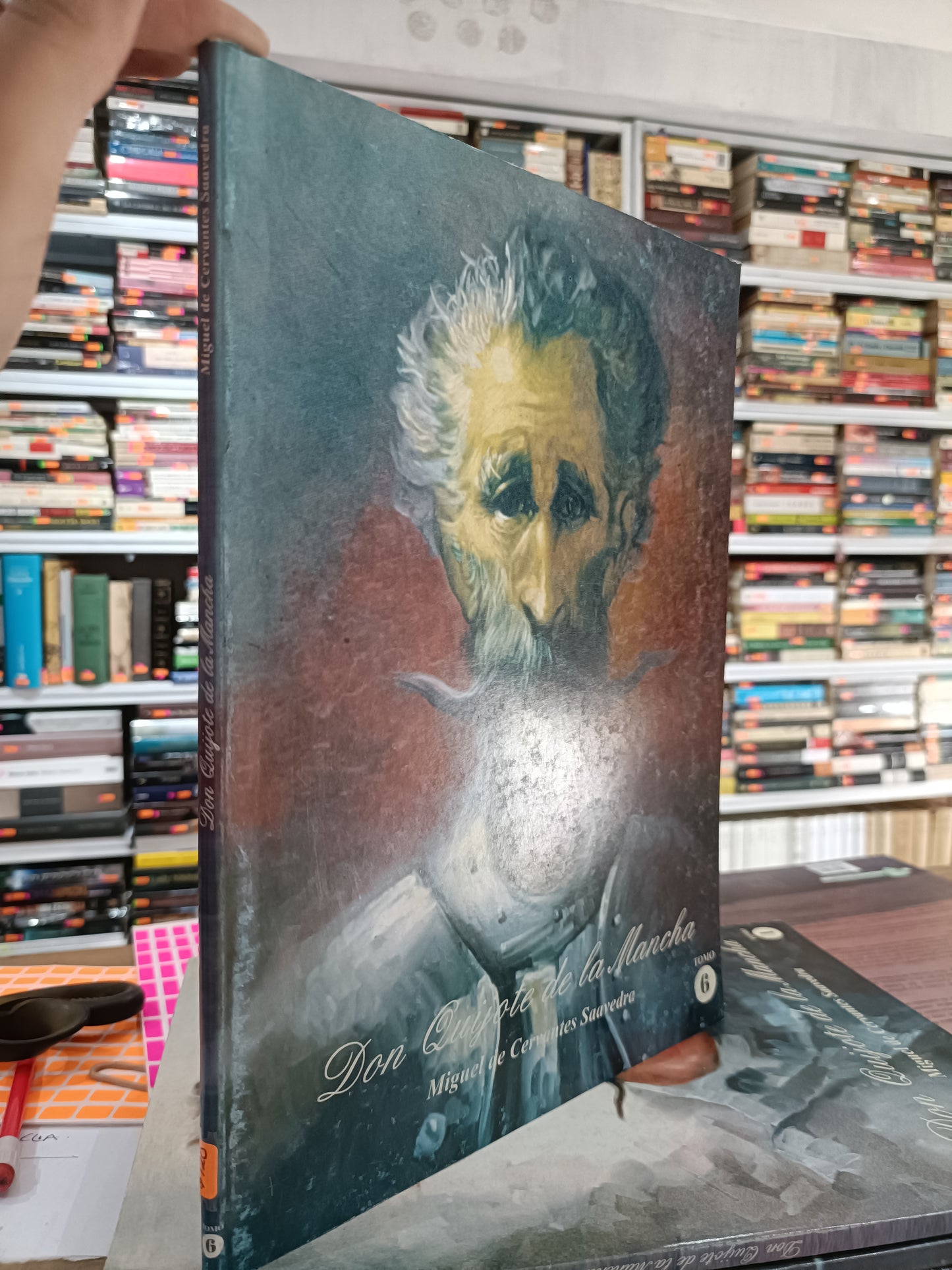 DON QUIJOTE DE LA MANCHA MIGUEL DE CERVANTES SAAVEDRA ILUSTRADO 6 USADO NOVELA JUAREZ 515