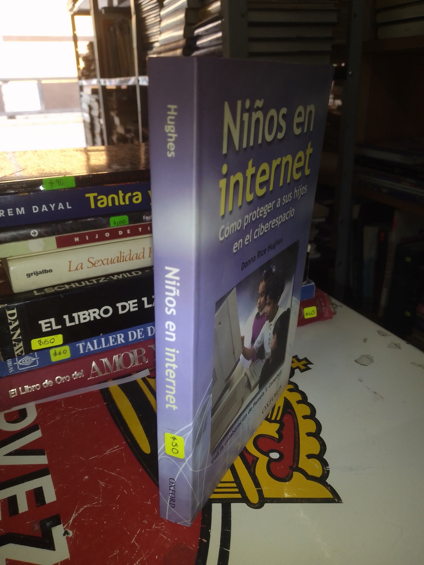 NIÑOS EN INTERNET COMO PROTEGER A SUS HIJOS EN EL CIBERESPCIO POR DONNA RICE HUGHES USADO PSICOLOGÍA LITERARIO 207