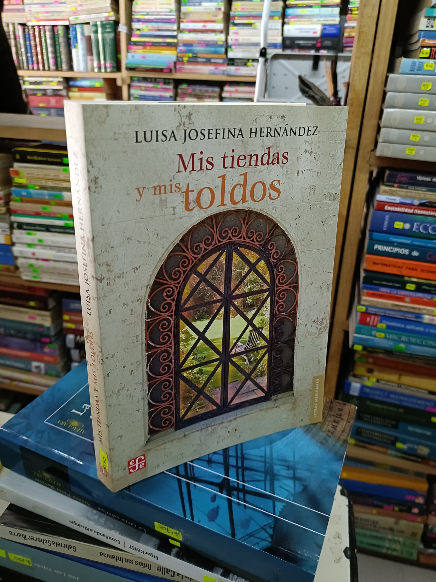 MIS TIENDAS Y MIS TOLDOS POR LUISA JOSEFINA HERNÁNDEZ USADO NOVELA LITERARIO 207