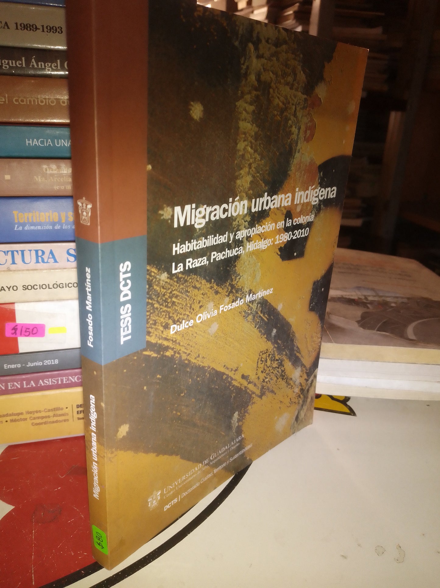 MIGRACIÓN URBANA INDIGENA POR DULCE OLIVIA FOSADO USADO SOCIOLOGÍA LITERARIO 207