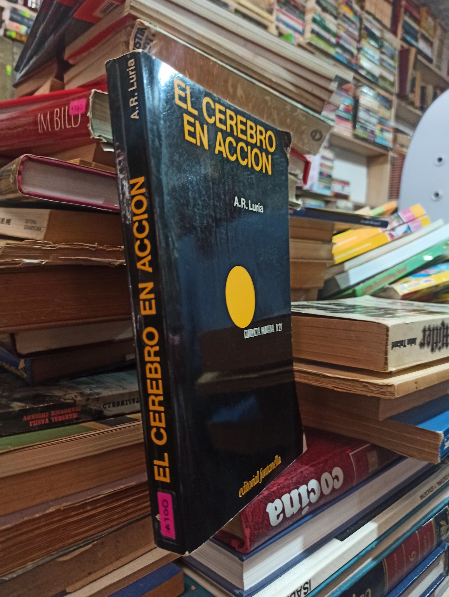 EL CEREBRO EN ACCIÓN POR A. R. LURIA USADO PSICOLOGÍA ALDAMA