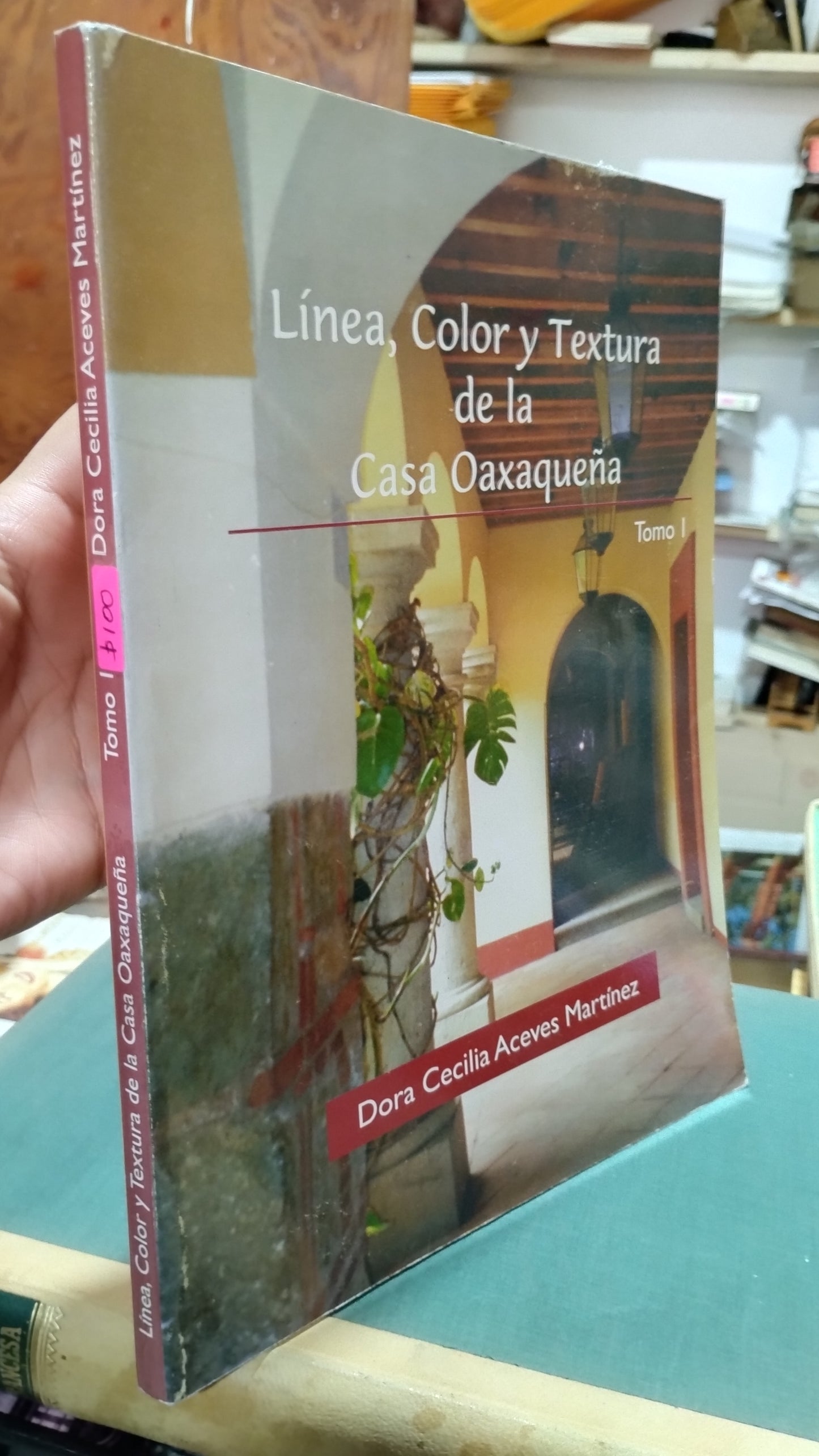 LINEA COLOR Y TEXTURA DE LA CASA OAXAQUEÑA LIBRO USADO HISTORIA ALDAMA
