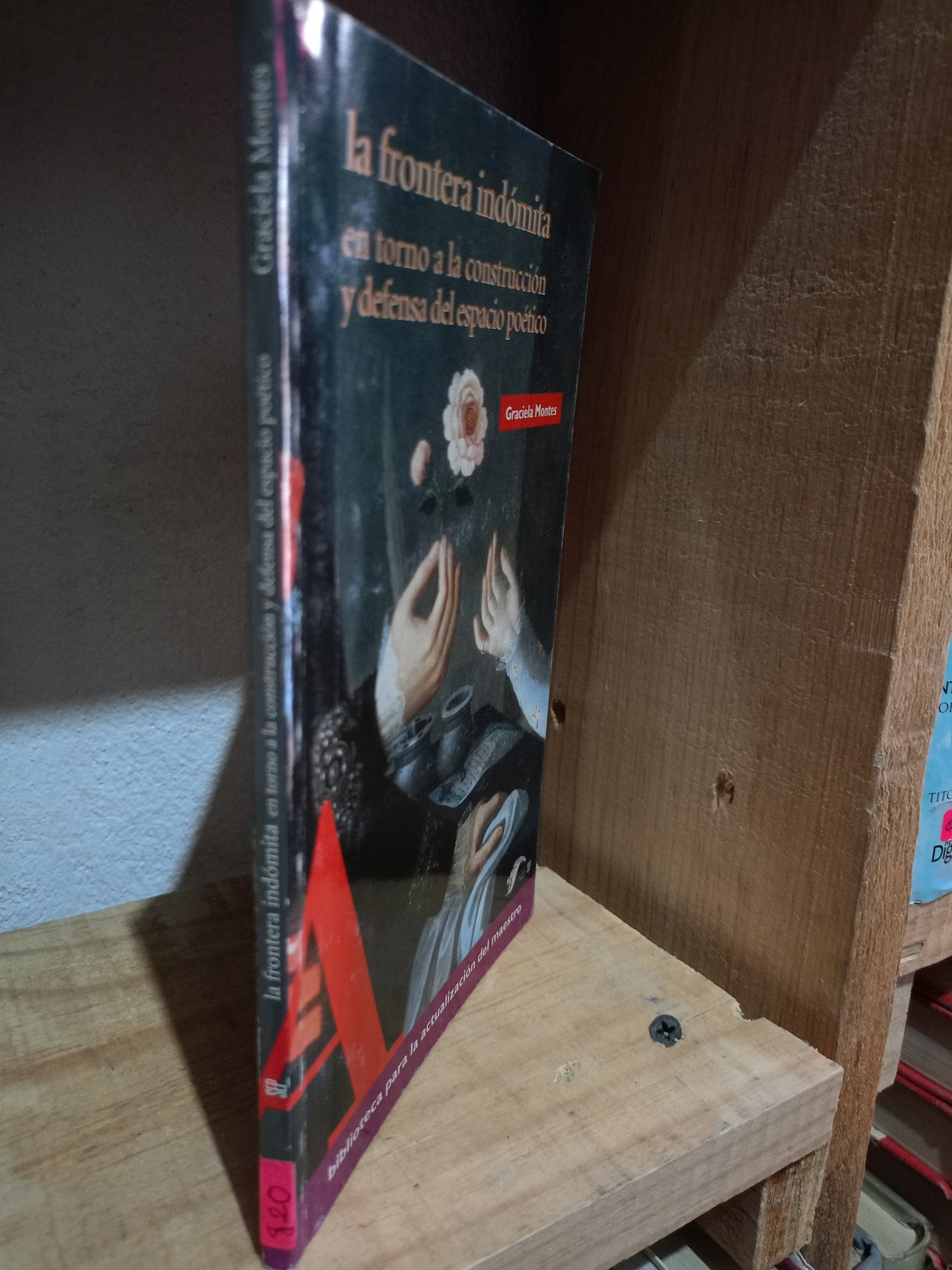 LA FRONTERA INDOMITA EN TORNO A LA CONSTRUCCION Y DEFENSA DEL ESPACIO POETICO POR GRACIELA MONTES USADO POESIA LITERARIO #305