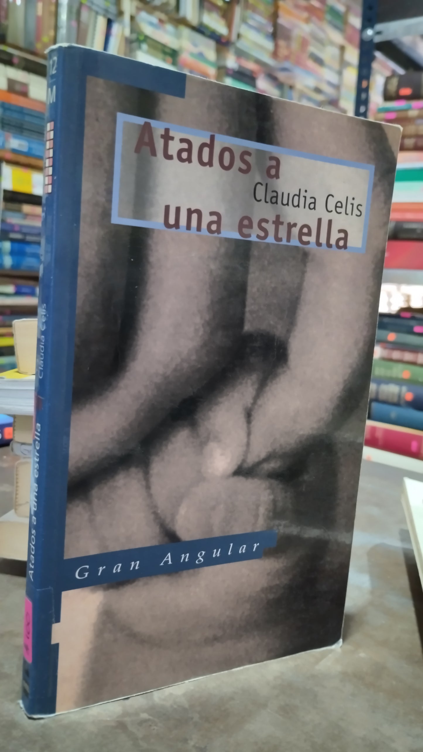 ATADOS A UNA ESTRELLA POR CLAUDIA CELIS LIBRO USADO NOVELAS ALDAMA