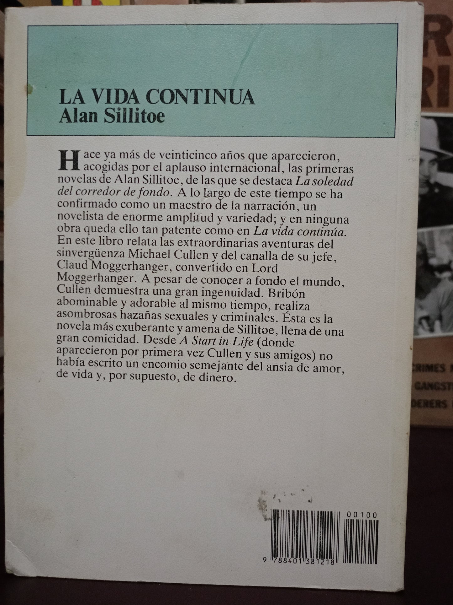 LA VIDA CONTINUA ALAN SILLITOE USADO NOVELA LITERARIO 305
