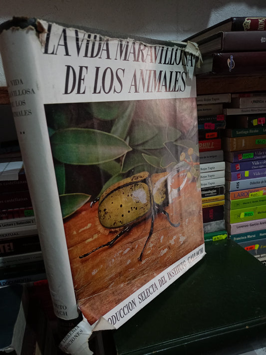 LA VIDA MARAVILLOSA DE LOS ANIMALES USADO BIO ANIMA LITERARIO 305