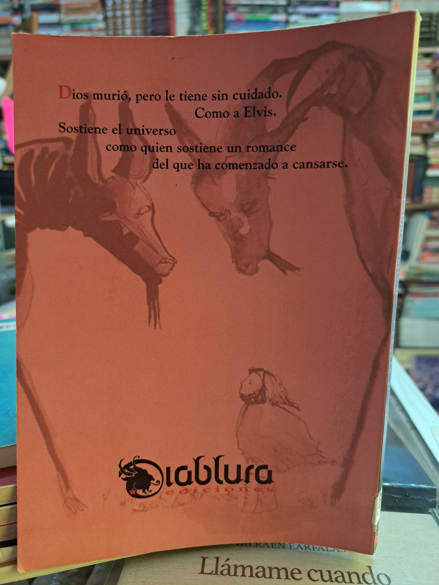 FÁBULAS SERIE B CECILIA JUÁREZ USADO NOVELA JUÁREZ