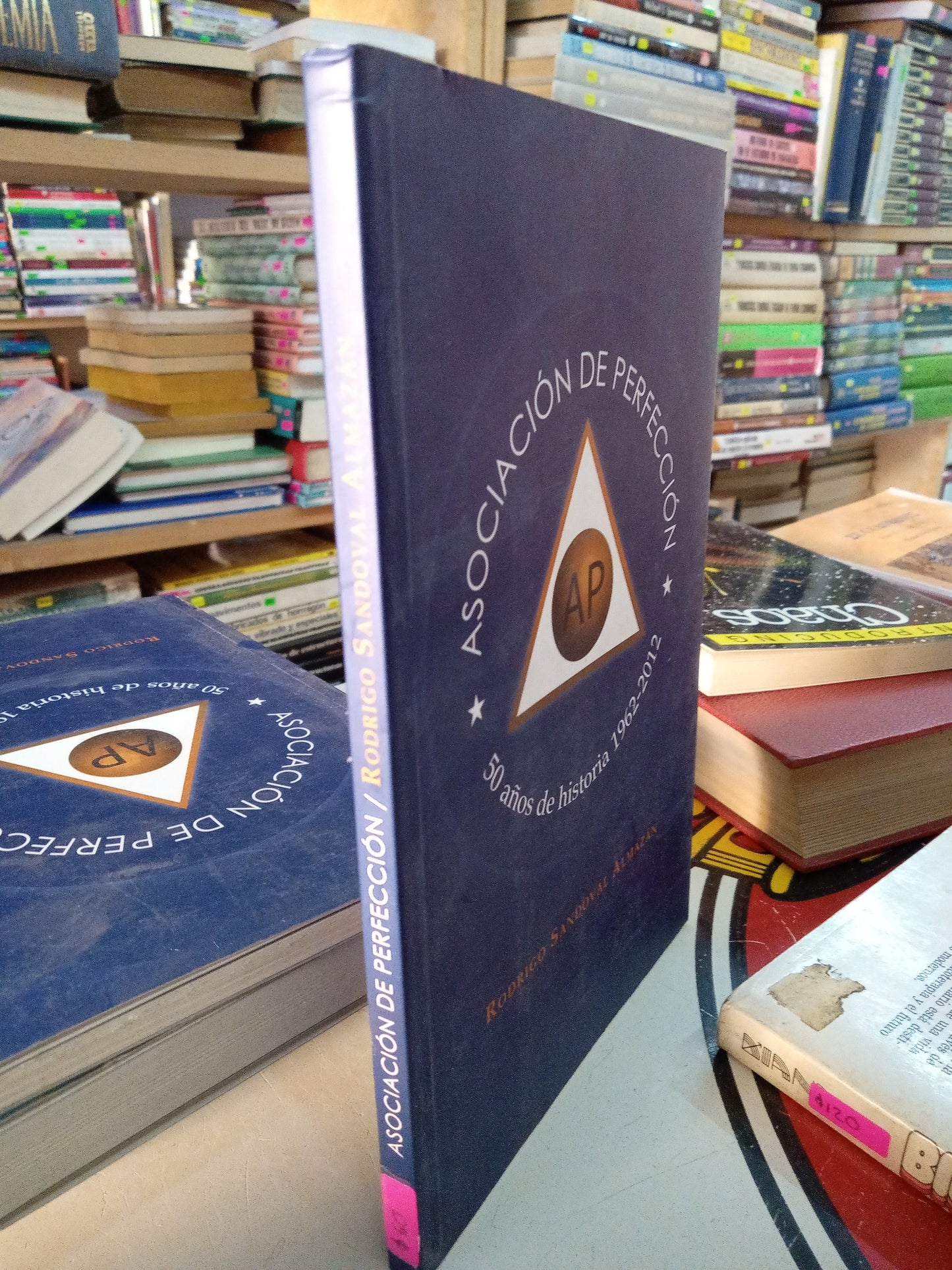 ASOCIACIÓN DE PERFECCION POR RODRIGO SANDOVAL ALMAZAN USADO DERECHO LITERARIO 207