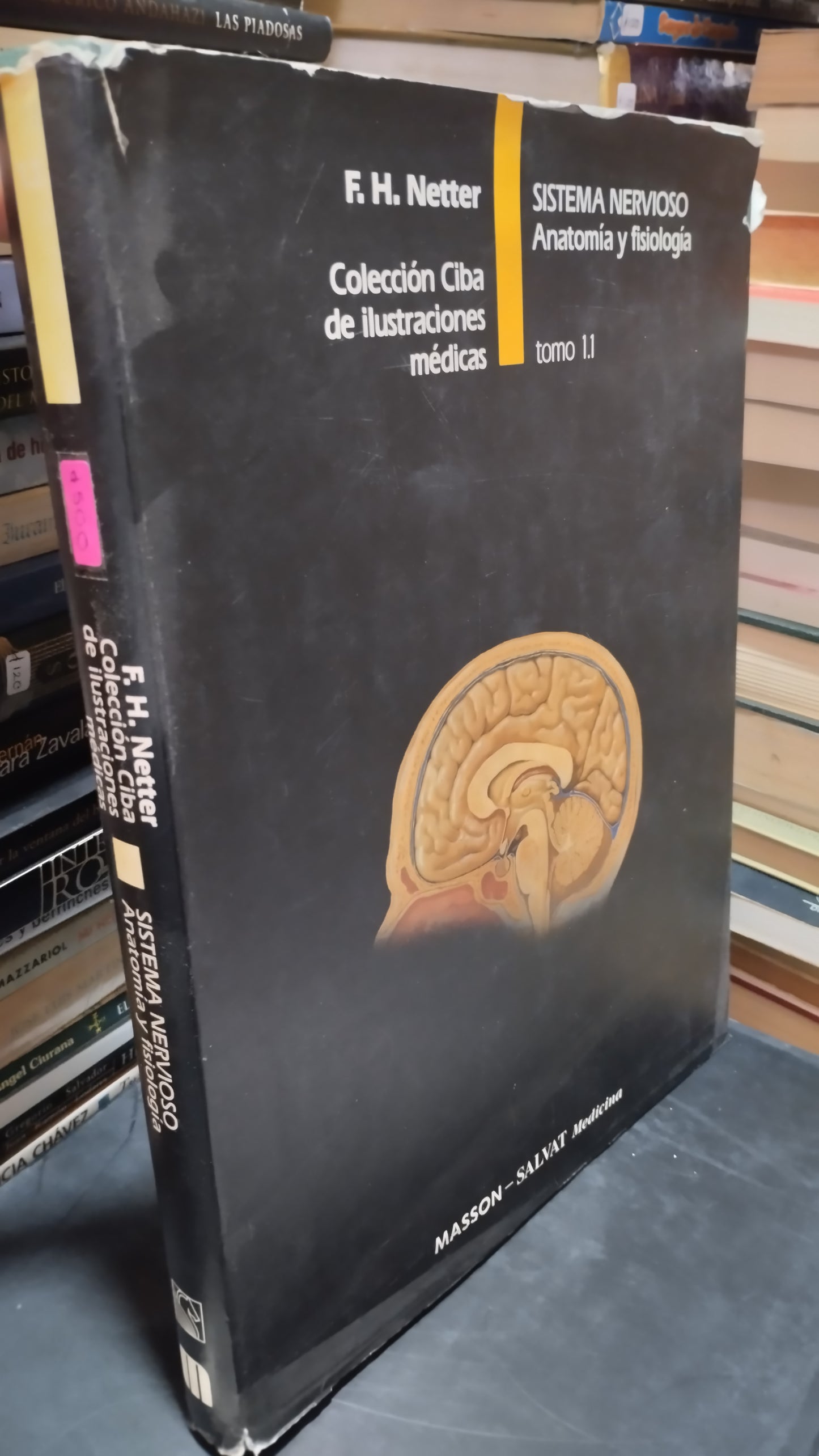 SISTEMA NERVIOSO ANATOMIA Y FISIOLOGIA POR F H NETTER LIBRO USADO SALUS ALDAMA