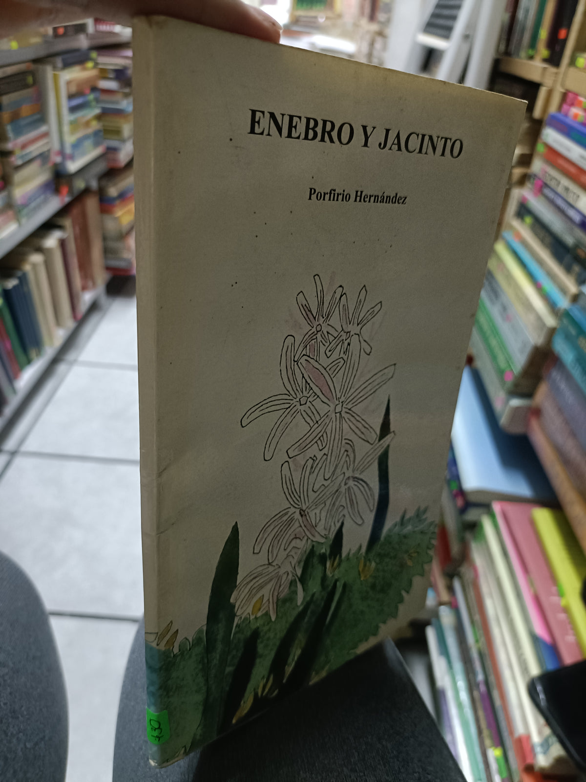 ENEBRO Y JACINTO POT PORFIRIO HERNENDEZ USADO INFANTIL JUAREZ 507