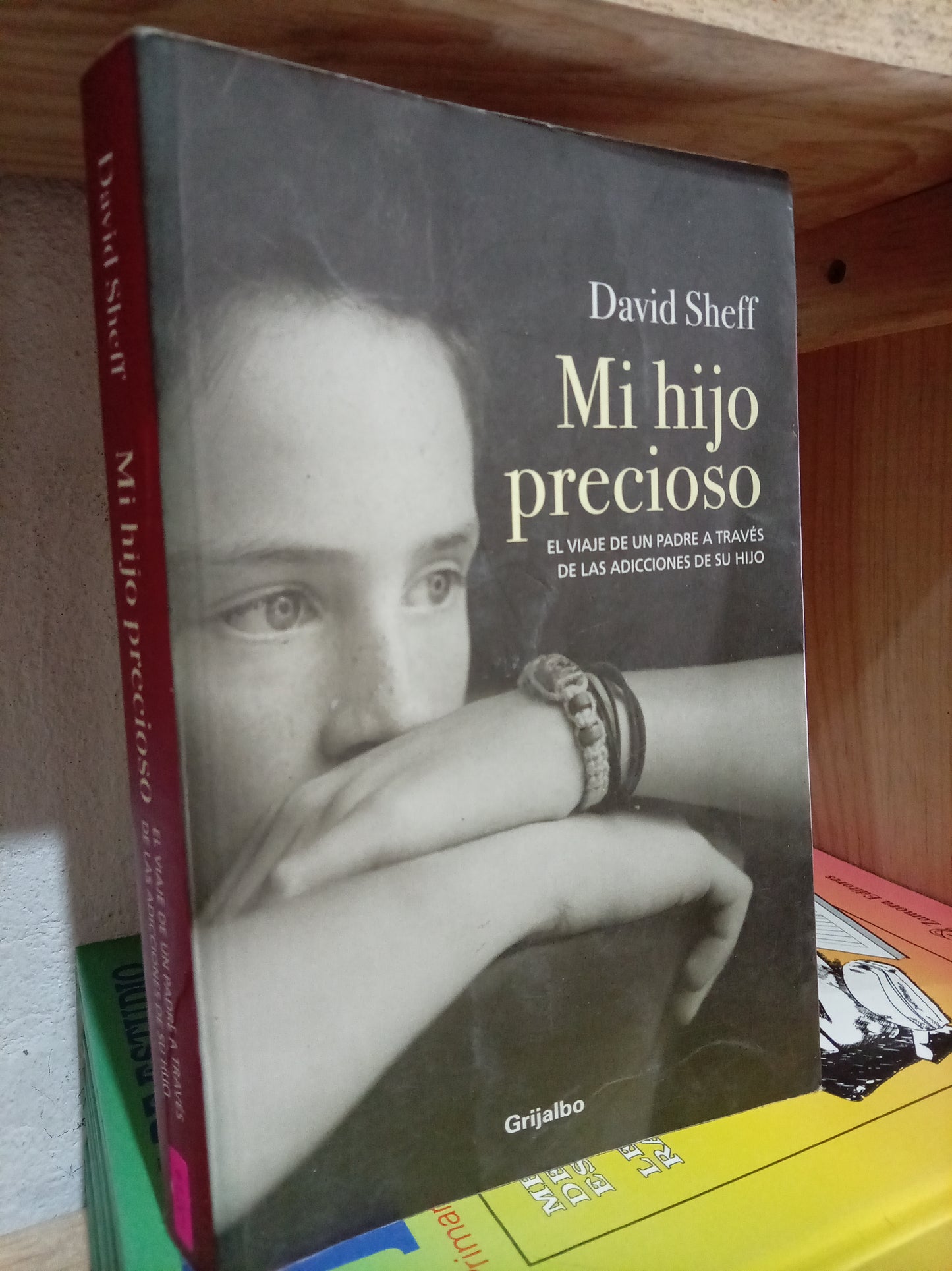MI HIJO PRECIOSO POR DAVID SHEFF USADO S. PERSONAL LITERARIO 305