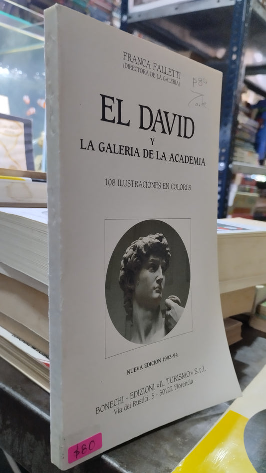 EL DAVID Y LA GALERIA DE LA ACADEMIA POR FRANCA FALLETTI LIBRO USADO ARTE ALDAMA