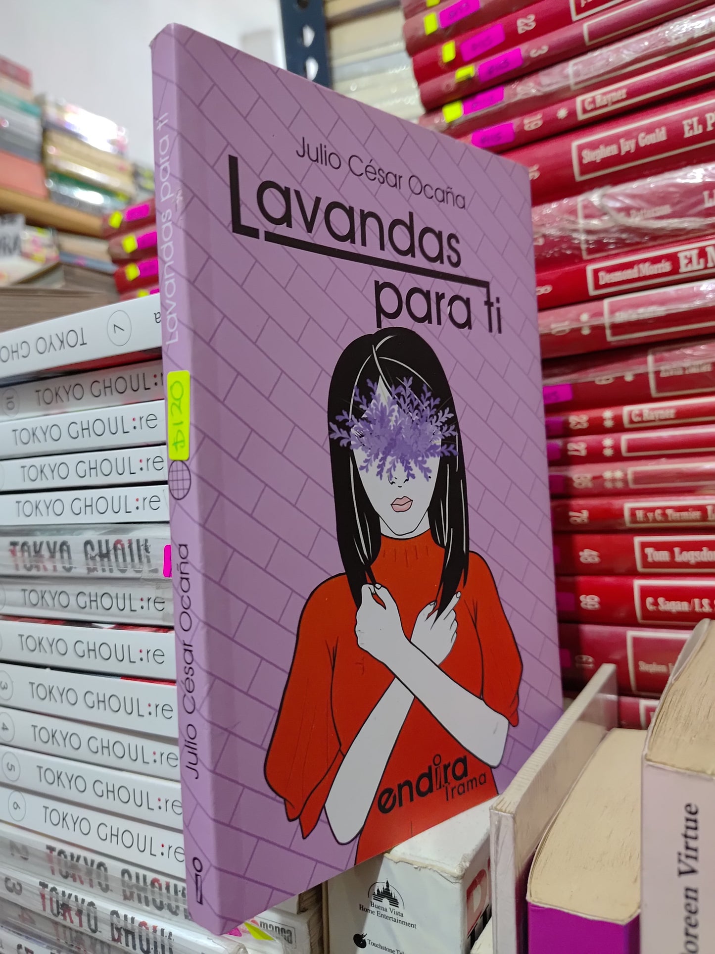 LAVANDAS PARA TI POR JULIO CESAR OCAÑA USADO NOVELAS LITERARIO 305