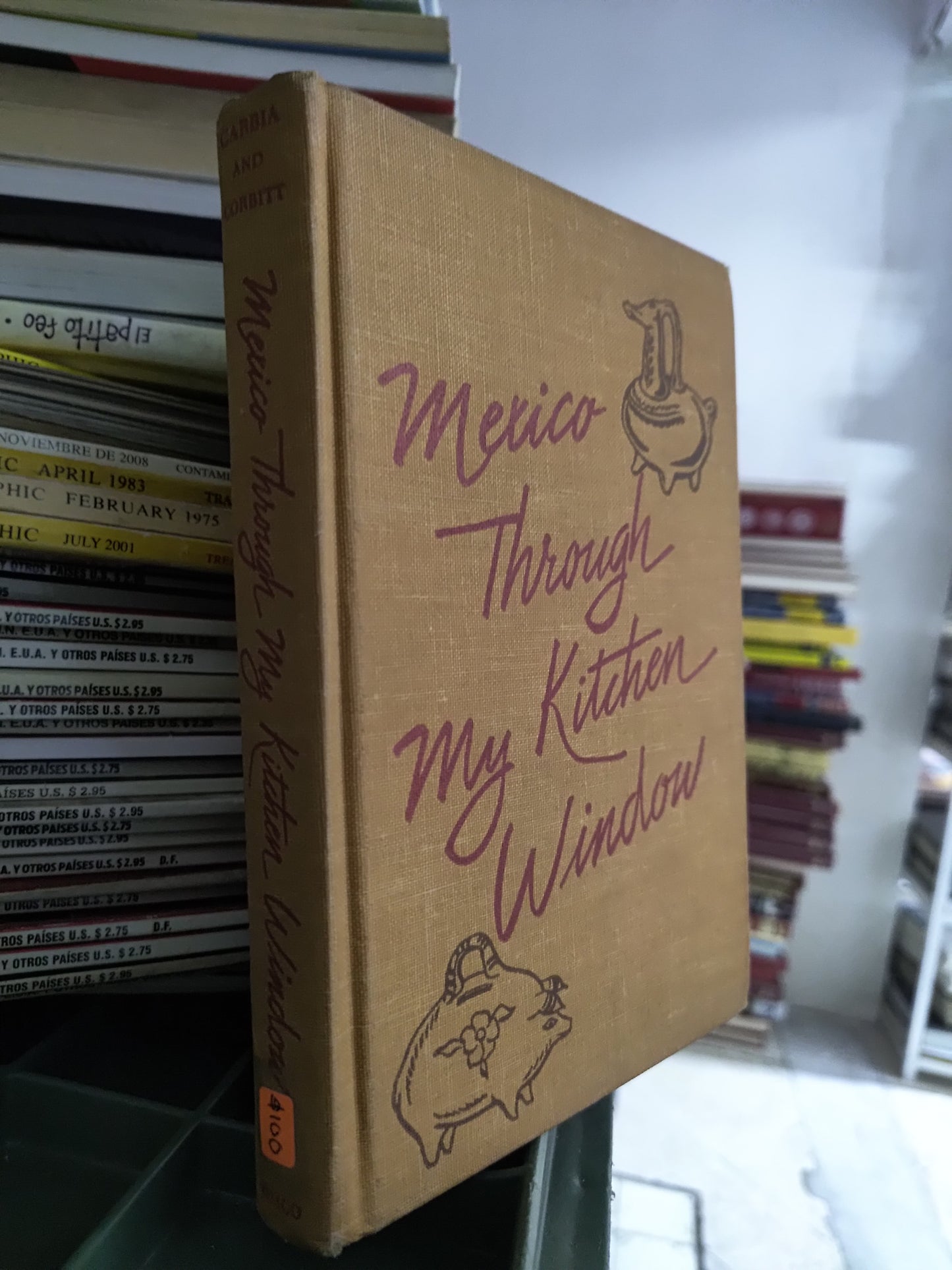 MEXICO THROUGH MY KITCHEN  WINDOW POR MARIA A. CARBIA USADO COCINA JUAREZ 515