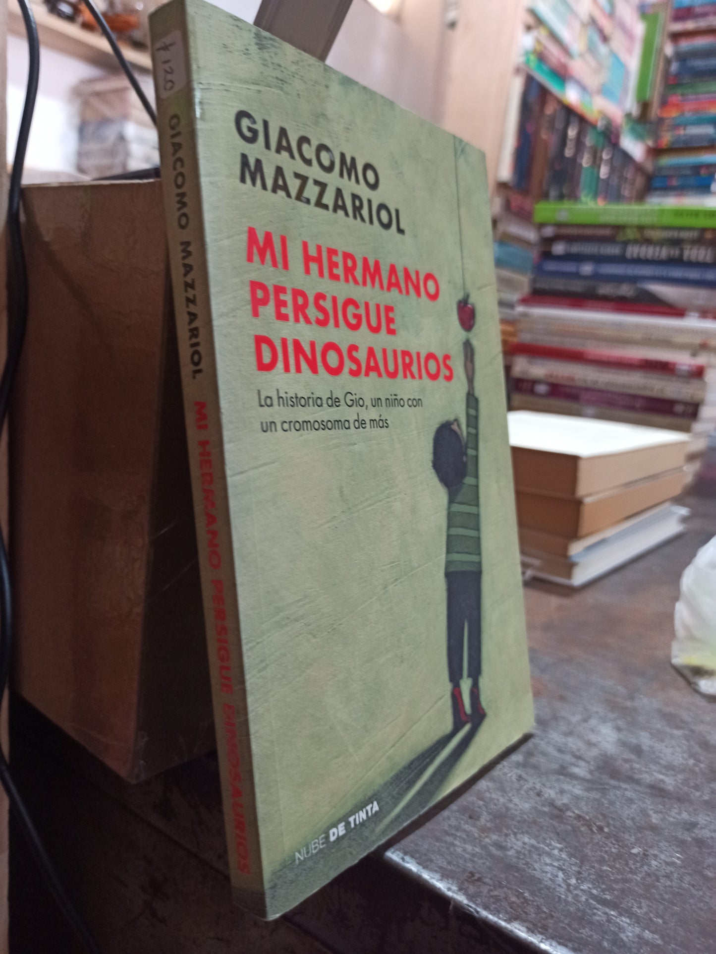 MI HERMANO PERSIGUE DINOSAURIOS POR GIACOMO MAZZARIOL USADO NOVELAS ALDAMA