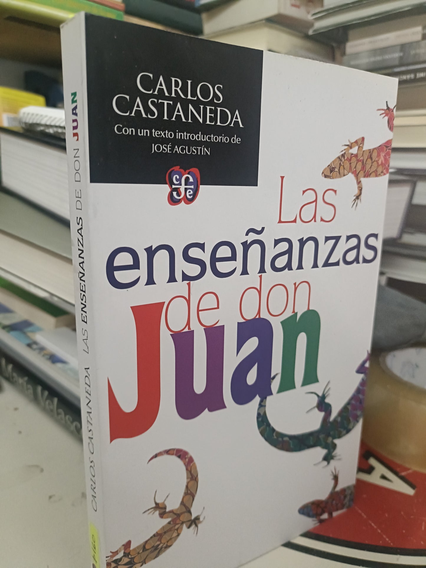 LAS ENSEÑANZAS DE DON JUAN POR CARLOS CASTAÑEDA USADO NOVELA LITERARIO 207