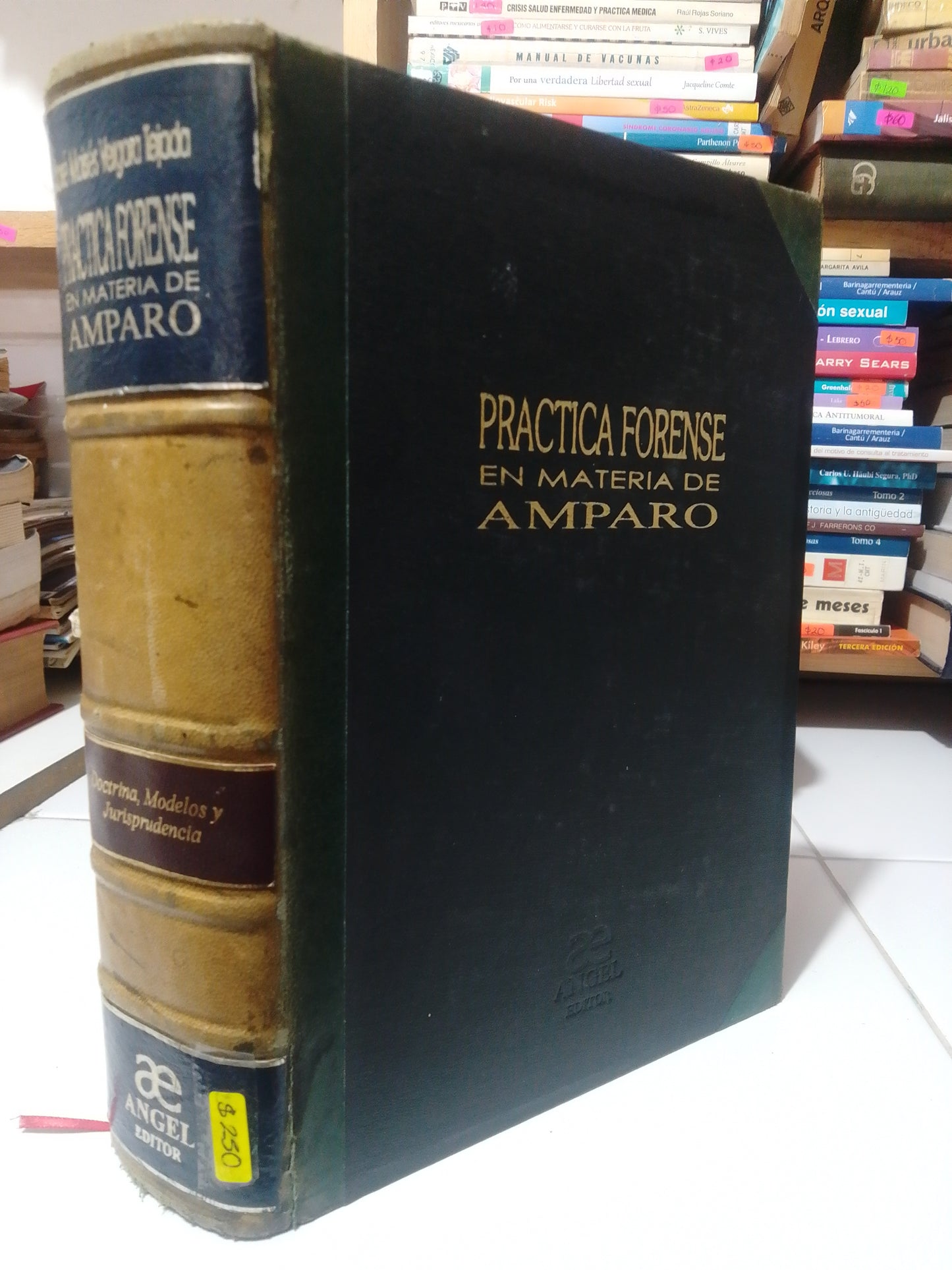 PRACTICA FORENSE EN MATERIA DE AMPARO POR JOSE MOISES VERGARA USADO DERECHO JUAREZ