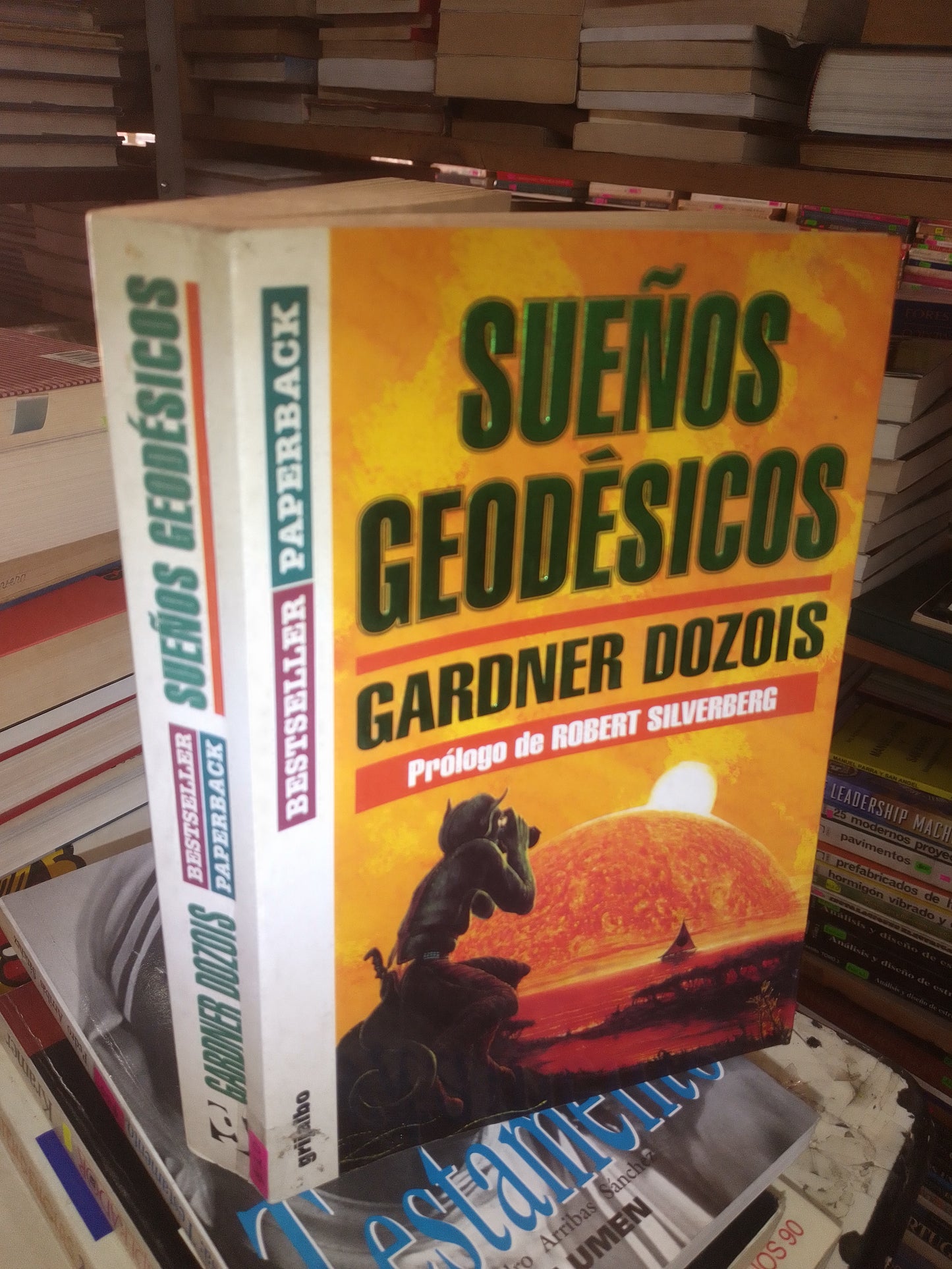 SUEÑOS GEODÉSICOS POR GARDNER DOZOIS USADO NOVELA LITERARIO 207