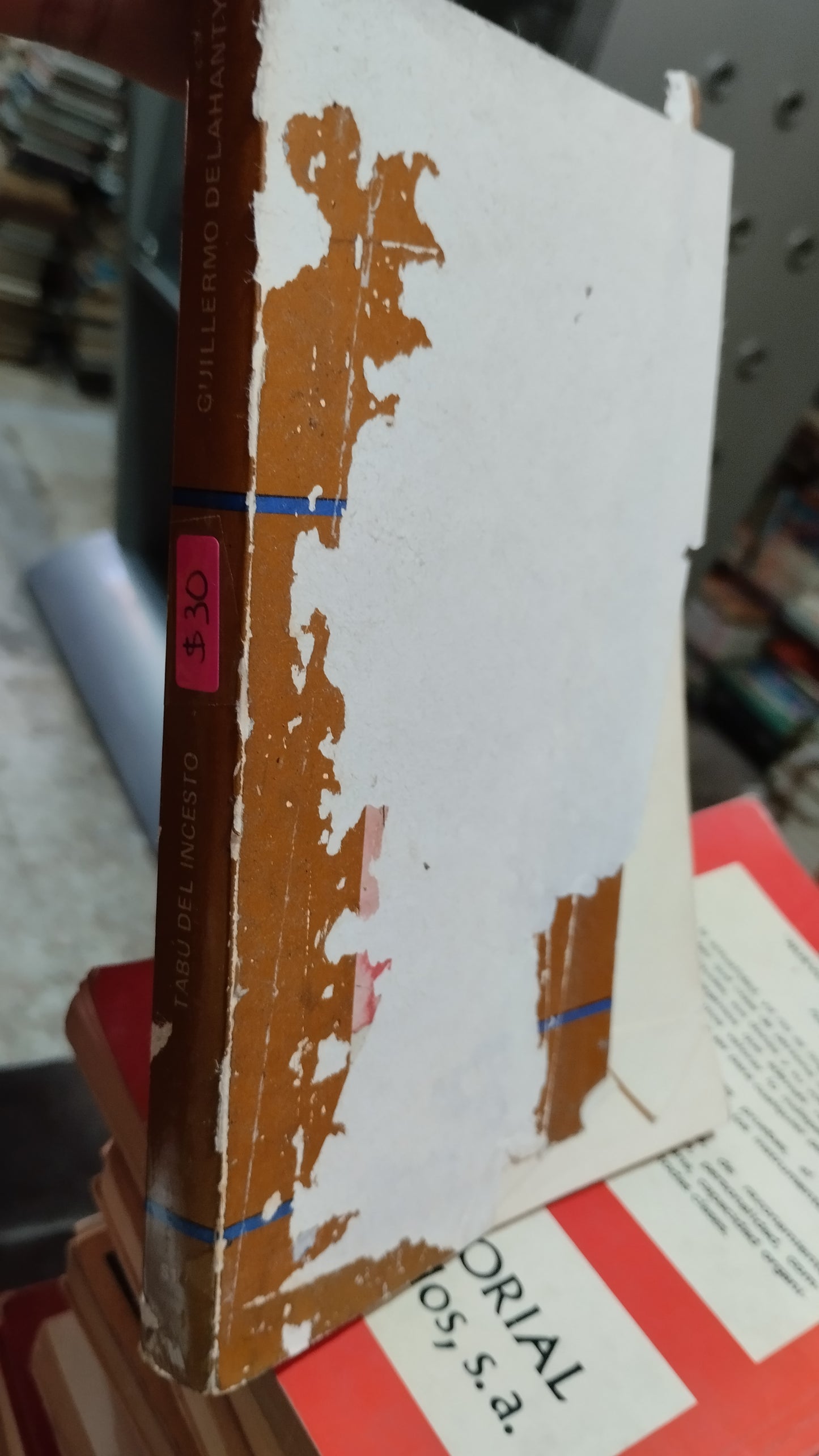 TABU DEL INCESTO POR GUILLERMO DELAHANTY LIBRO USADO PSICOLOGÍA ALDAMA