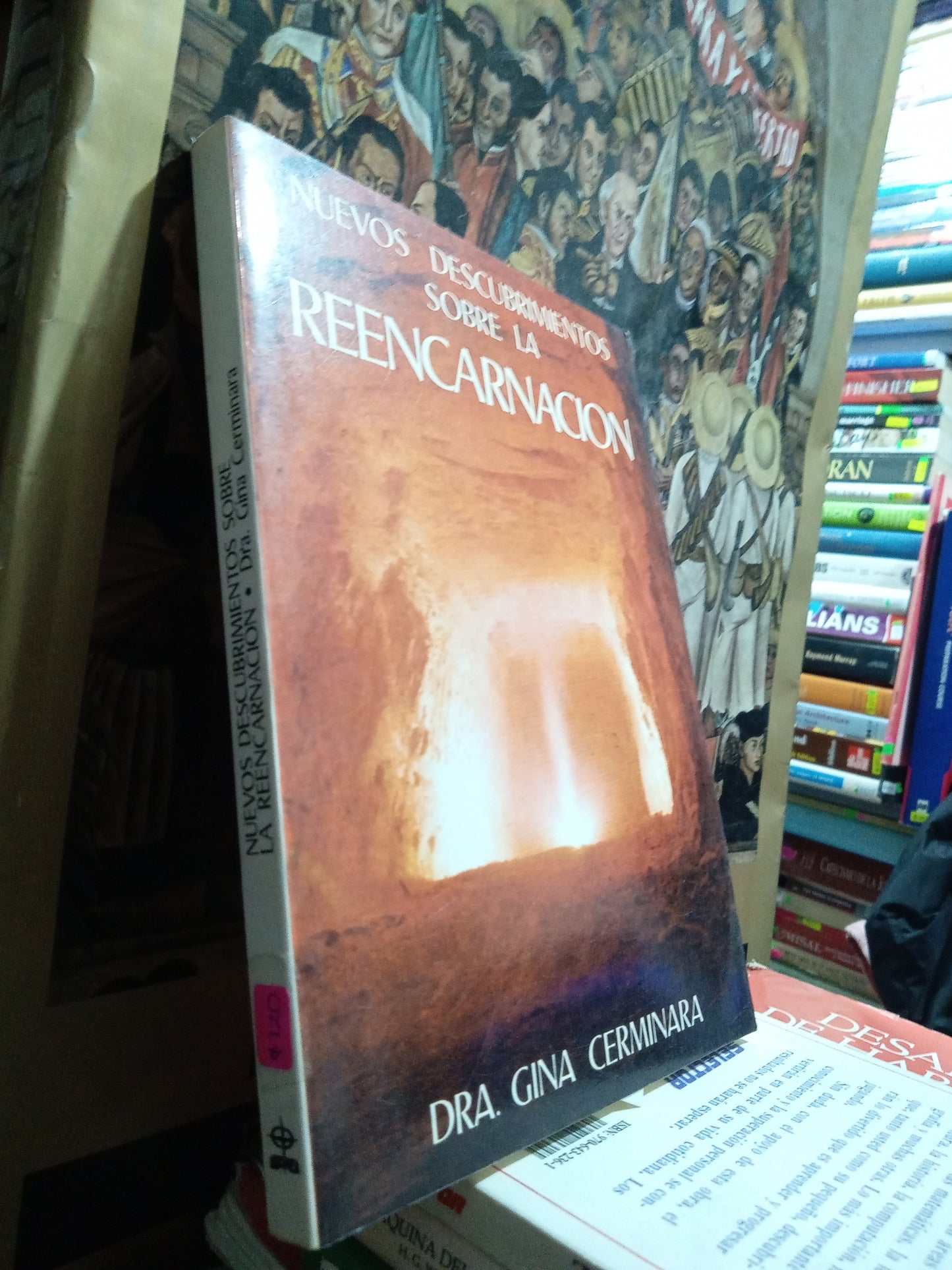 NUEVOS DESCUBRIMIENTOS SOBRE LA REENCARNACION POR DR GINA CERMINARA USADO ESOTERISMO JUAREZ