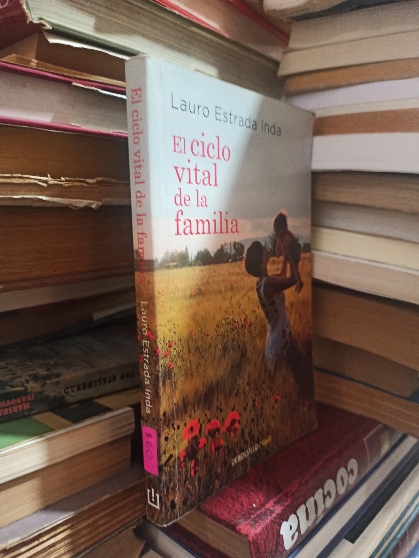 EL CICLO VITAL DE LA FAMILIA POR LAURO ESTRADA INDA USADO SUPERACIÓN PERSONAL ALDAMA