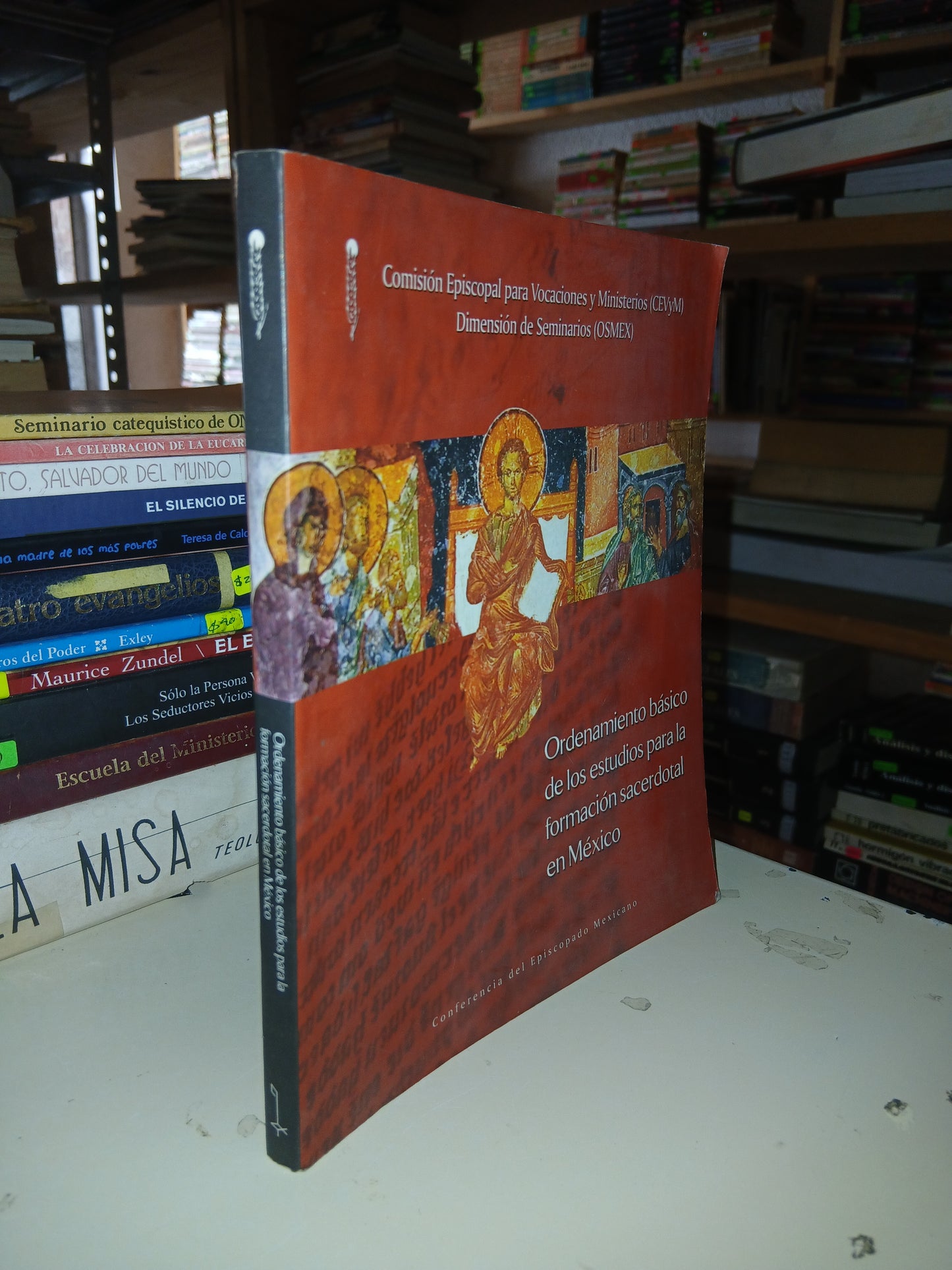 ORDENAMIENTO BÁSICO DE LOS ESTUDIOS PARA LA FORMACIÓN SACERDOTAL EN MÉXICO POR LA COMISIÓN EPISCOPAL PARA VOCACIONES Y MINISTERIOS Y LA DIMENSIÓN DE SEMINARIOS USADO RELIGIÓN LITERARIO 207