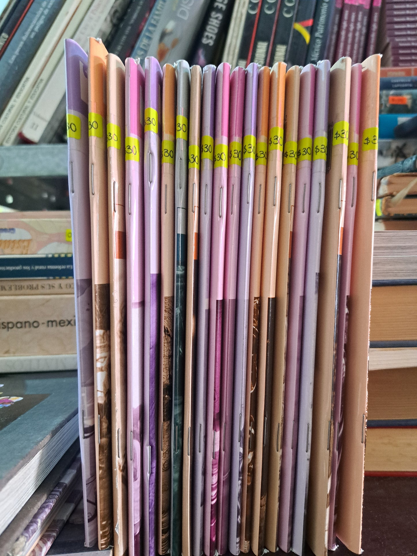 COLECCIÓN PUEBLOS INDÍGENAS DEL MÉXICO CONTEMPORÁNEO GOBIERNO DEL ESTADO DE MÉXICO USADO HISTORIA LITERARIO 305