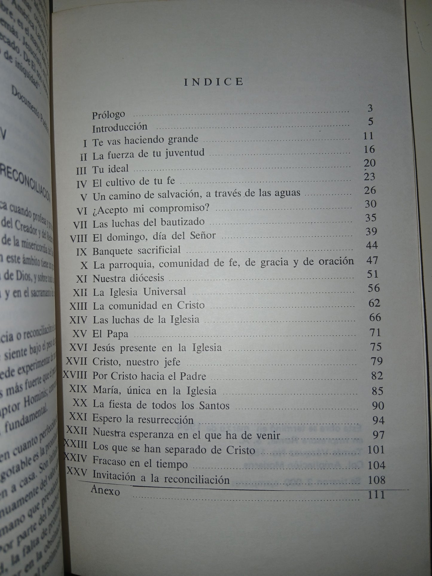 ¿QUÉ LLEGARÉ A SER? POR EL SEMINARIO CATEQUÍSTICO DE LA O.N.I.R USADO RELIGIÓN LITERARIO 207