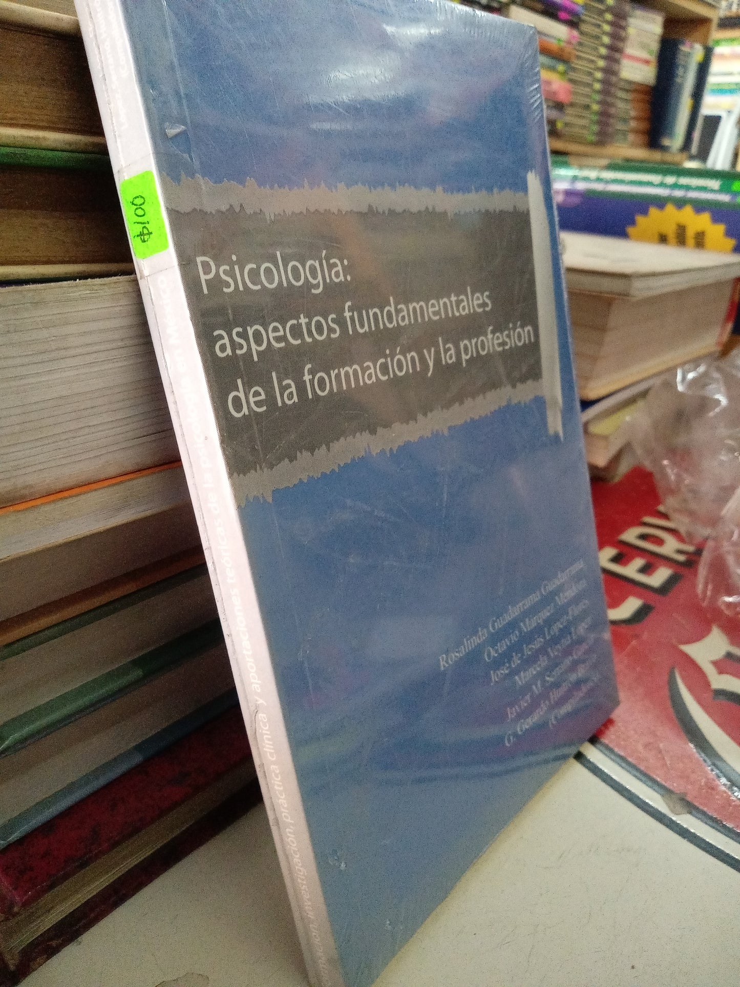 PSICOLOGIA ASPECTOS FUNDAMENTALES DE LA FORMACION Y LA PROFESION POR ROSALINDA GUADARRAMA NUEVO PSICÓLOGIA LITERARIO 207