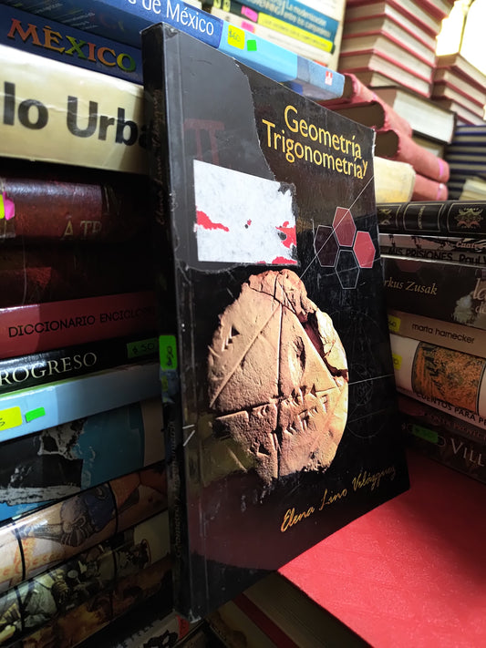 GEOMETRIA Y TRIGONOMETRIA POR ELENA LINO VELAZQUEZ USADO MATEMÁTICAS JUAREZ 507