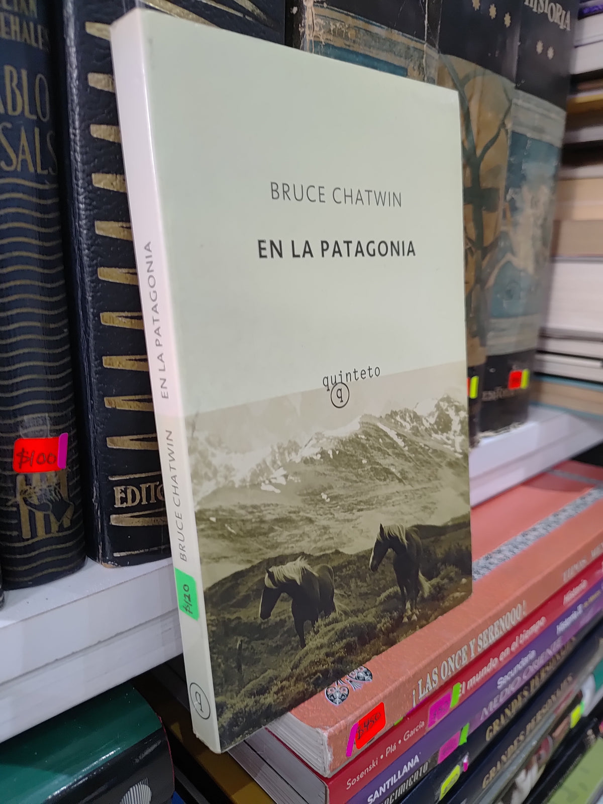 EN LA PATAGONIA POR BRUCE CHATWIN USADO NOVELAS JUAREZ 515