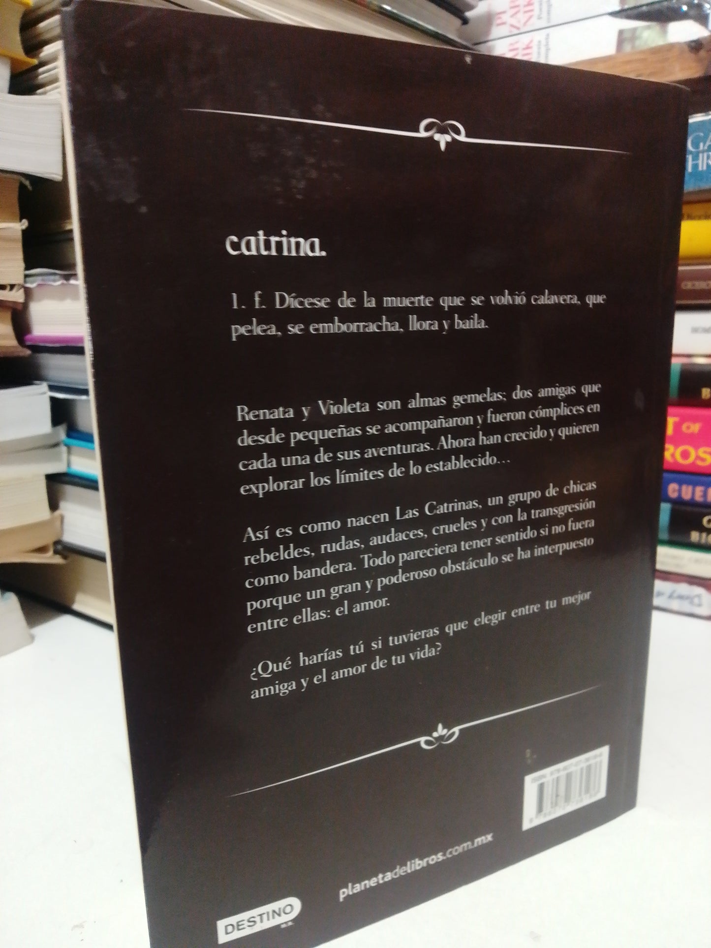 LAS CATRINAS POR LORENA AMKIE USADO NOVELA JUÁREZ