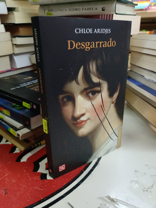 DESGARRADO POR CHLOE ARIDJIS USADO NOVELA LITERARIO 207