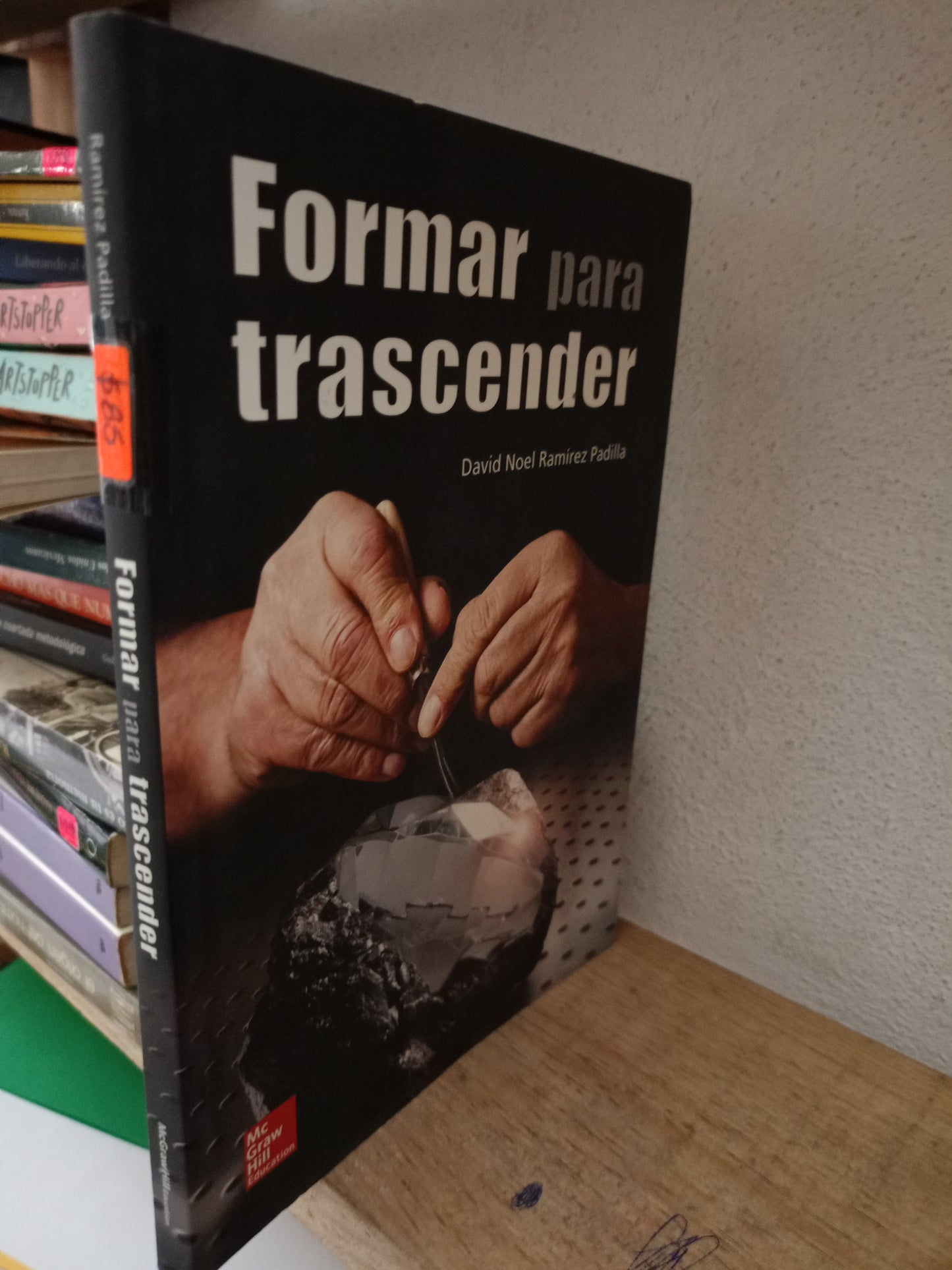 FORMAR PARA TRASCENDER POR DAVID NORM RAMÍREZ USADO FILOSOFIA LITERARIO 305