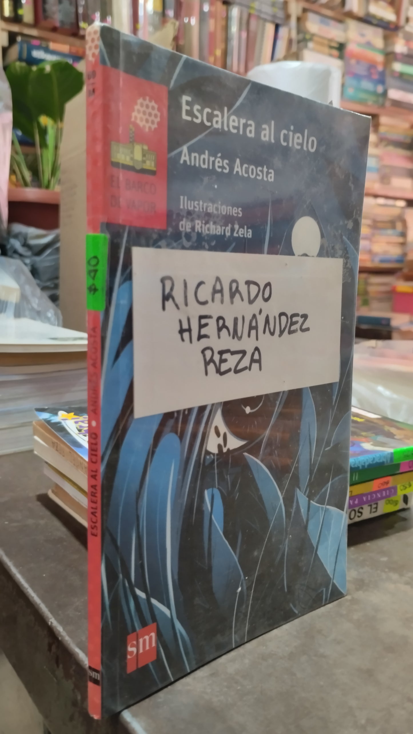 ESCALERA AL CIELO POR ANDRES ACOSTA LIBRO USADO INFANTIL ALDAMA