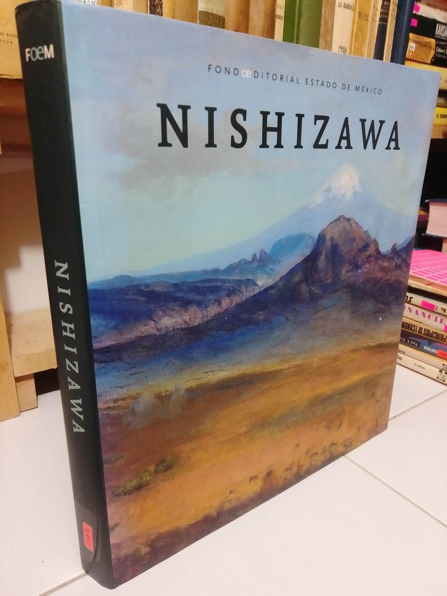 NISHIZAWA LUZ Y EXPLORACION DE COLOR USADO ARTE JUAREZ