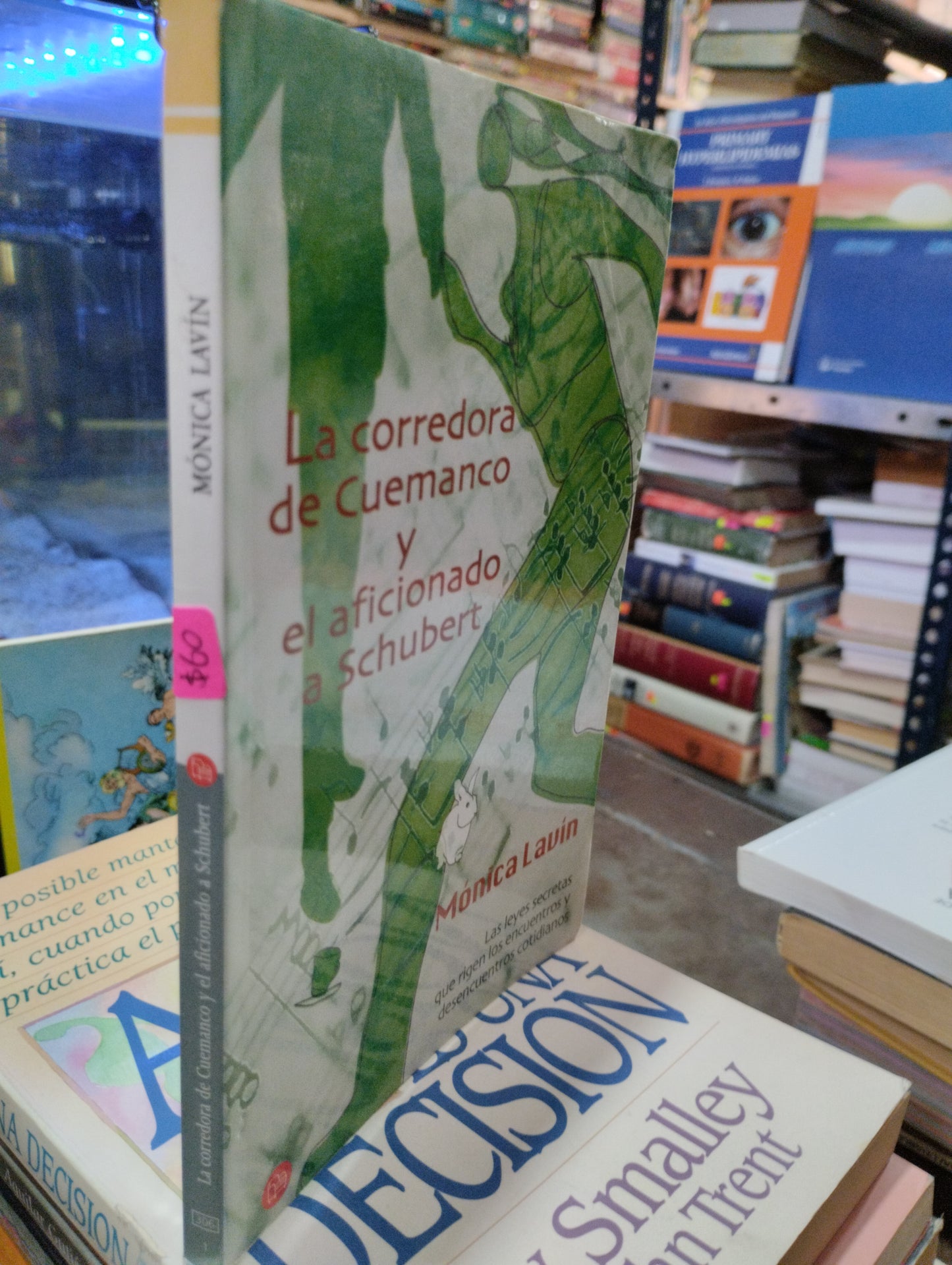 LA CORREDORA DE CUEMANCO POR MONICA LAVIN USADO NOVELAS ALDAMA