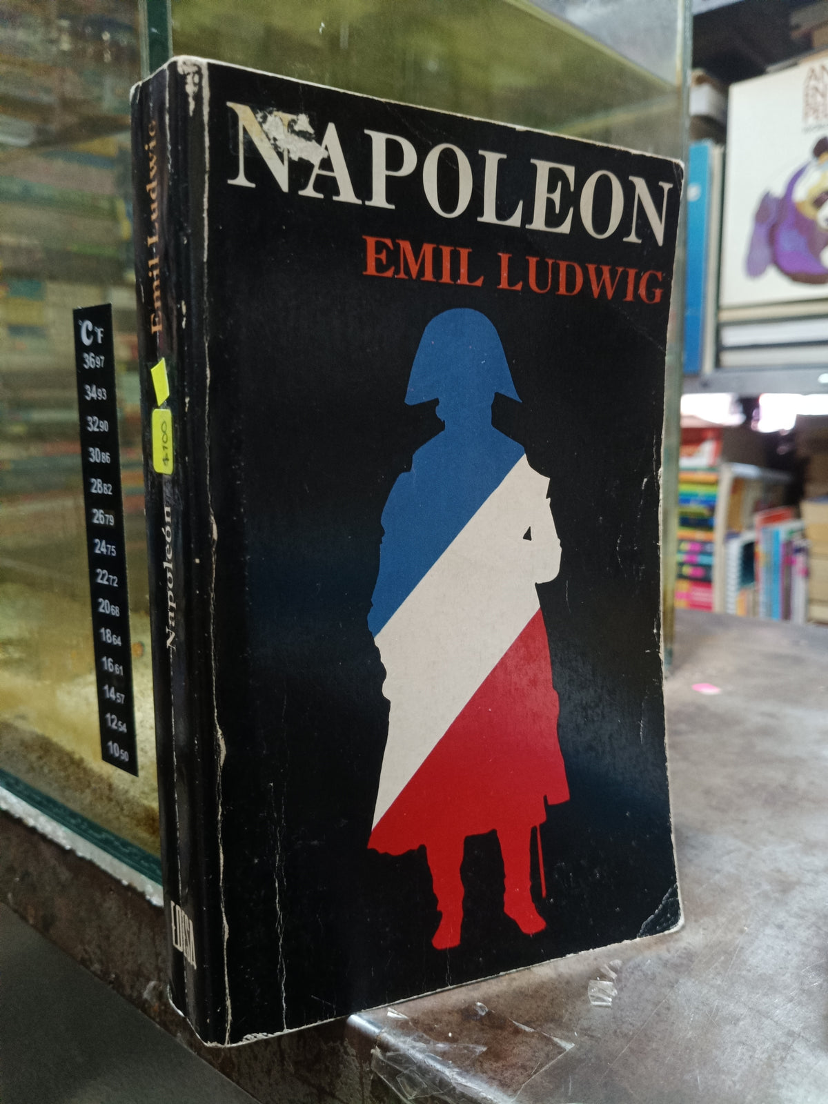 NAPOLEON POR EMIL LUDWIG USADO NOVELA ALDAMA